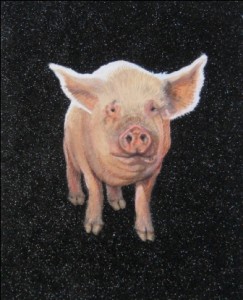 henrythepig