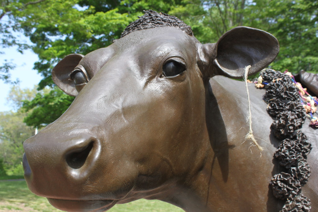 Bronze statue of Emily the Cow at her grave in Sherborn, MA.